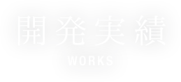 開発実績